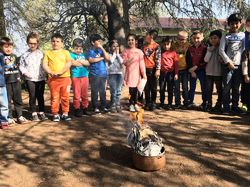 “CHI HA PAURA DEL LUPO CATTIVO?”