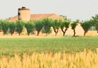 Un�alleanza tra citt� e campagna