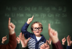 Lo sviluppo del bambino e l�alto potenziale cognitivo: figure professionali a confronto