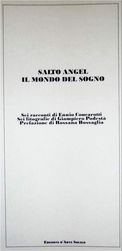SALTO ANGEL IL MONDO DEL SOGNO