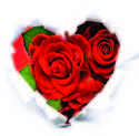 Racconti d’amore in musica
